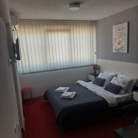 Rooms S&S Milicevic U Strogom Centru Aleksandrovca Aleksandrovac 客房 照片